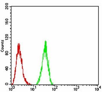 HDAC4 Antibody