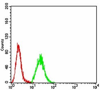 HDAC9 Antibody