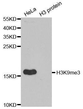TriMethyl-Histone H3-K9 antibody
