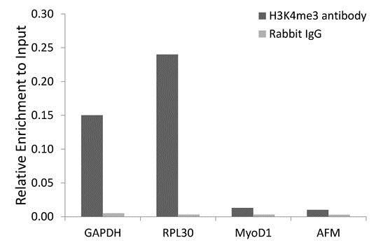TriMethyl-Histone H3-K4 antibody