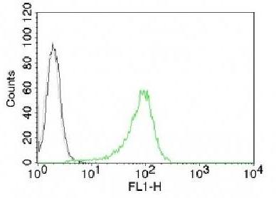 Human Nuclear Antigen (HNA) (Human Cell Marker) Antibody