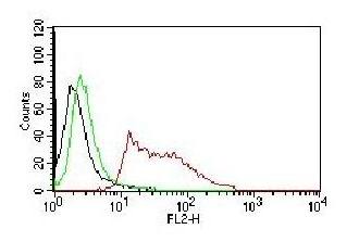 Human Nuclear Antigen (HNA) (Human Cell Marker) Antibody