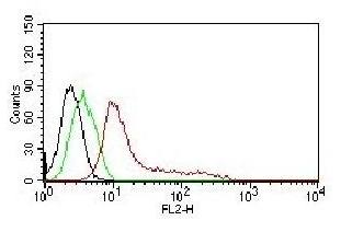 Human Nuclear Antigen (HNA) (Human Cell Marker) Antibody