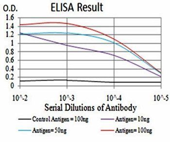 HOXA9 Antibody