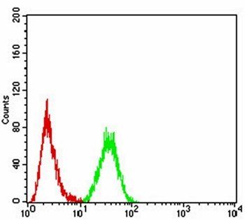 HOXA9 Antibody