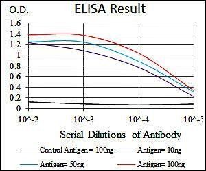 HSF4 Antibody