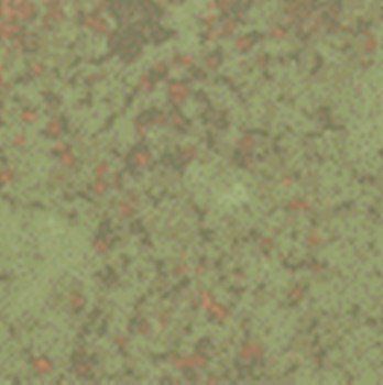 HSP60 antibody