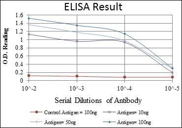 HSP60 Antibody