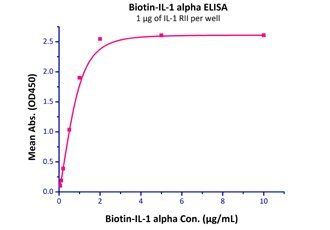 Human IL-1 RII / CD121b Protein