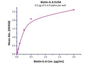 Human IL-6 R alpha / CD126 Protein