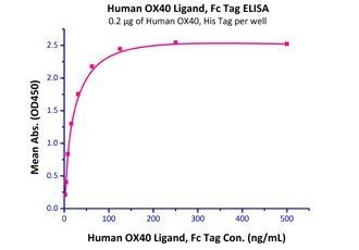 Human OX40 Protein, His Tag