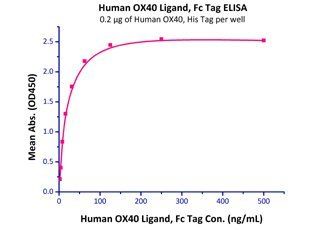 Human OX40 / TNFRSF4 / CD134 Protein