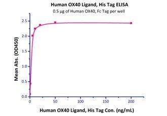 Human OX40 Protein, Fc Tag