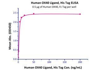 Human OX40 / TNFRSF4 / CD134 Protein