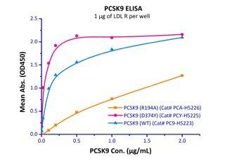 Human PCSK9 Protein