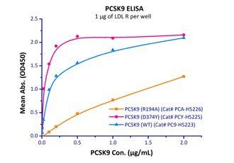 Human PCSK9 (D374Y) Protein