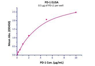 Human PD-1 / PDCD1 Protein