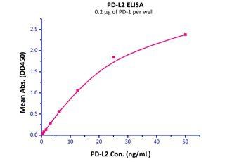 Human PD-L2 Protein, Fc Tag
