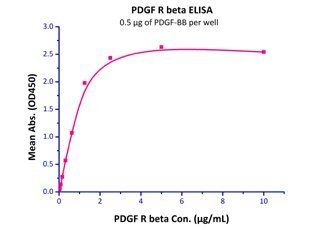 Unconjugated Human PDGF-BB Protein