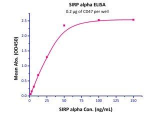 Human SIRP alpha / CD172a Protein