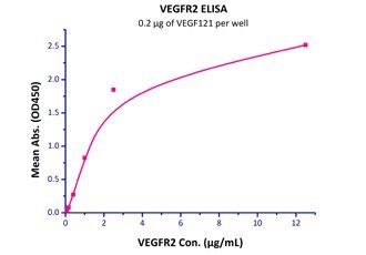 Human VEGF121 Protein