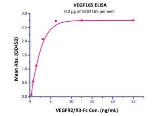 Human VEGF165 Protein