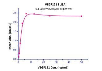 Human VEGF121 Protein