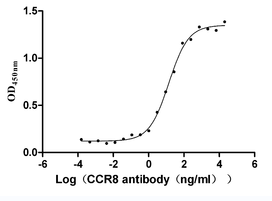 Human CCR8 protein
