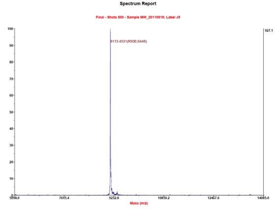 Human LR3IGF1 protein