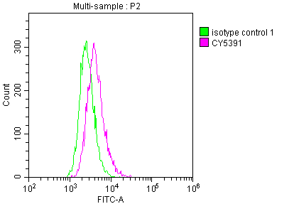 ICAM1 Recombinant Monoclonal Antibody