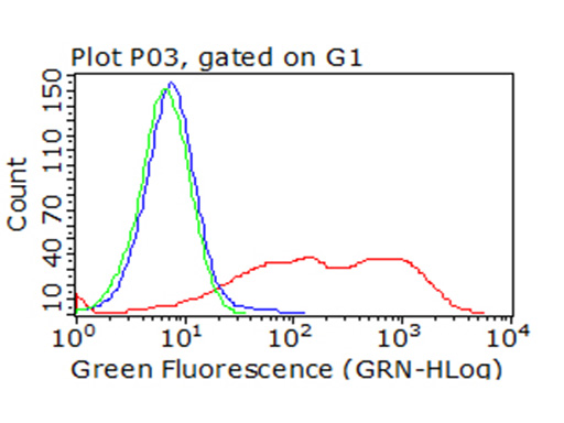 ICOS Antibody