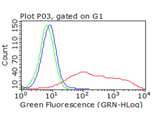 ICOS Antibody