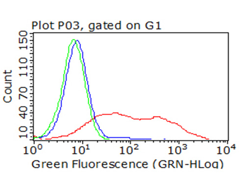 ICOS Antibody