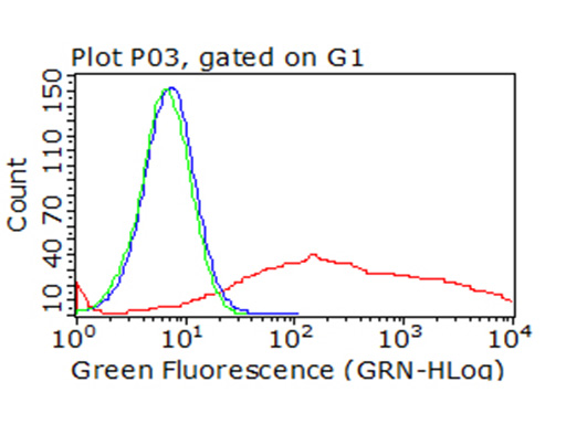 ICOS Antibody