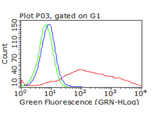 ICOS Antibody