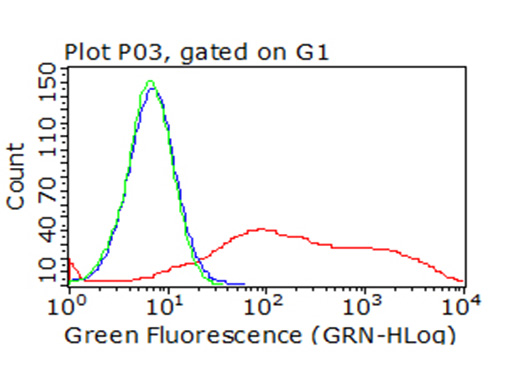 ICOS Antibody