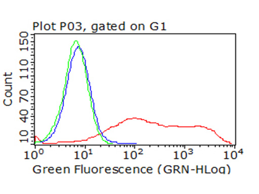 ICOS Antibody