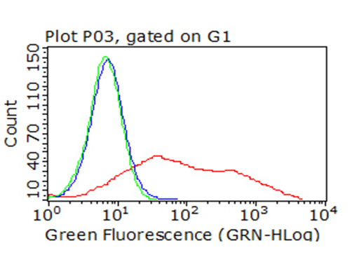 ICOS Antibody