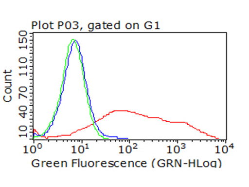 ICOS Antibody