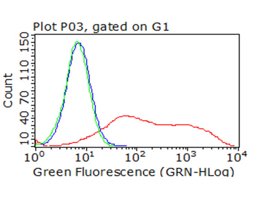 ICOS Antibody