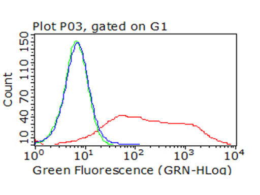 ICOS Antibody