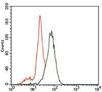 ID2 Antibody