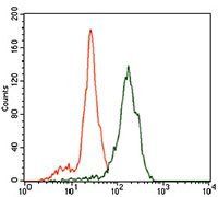 ID2 Antibody