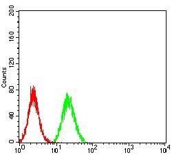 IghA1 Antibody