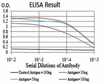 IL1RAPL1 Antibody