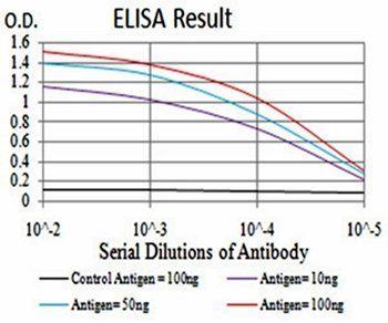 IL1RAPL1 Antibody