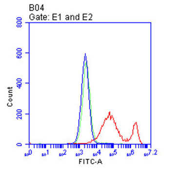 IL2RA Antibody