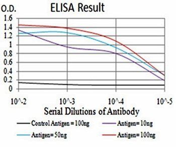 IL28A Antibody