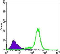 IL34 Antibody