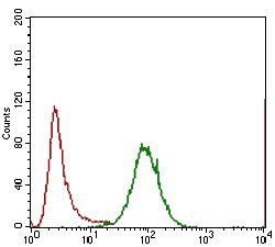 IL3RA Antibody